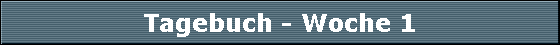 Tagebuch - Woche 1
